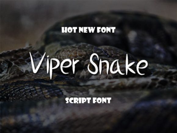 Adding a Playful Edge: When to Use Viper Snake
