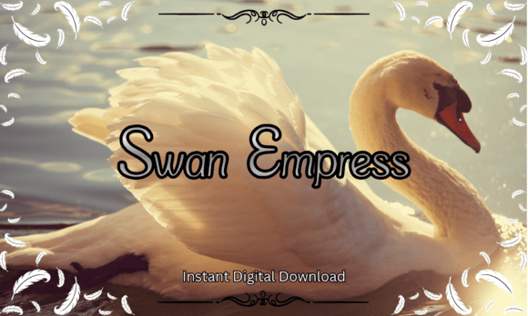 Swan Empress: The Ultimate Guide to This Elegant Font